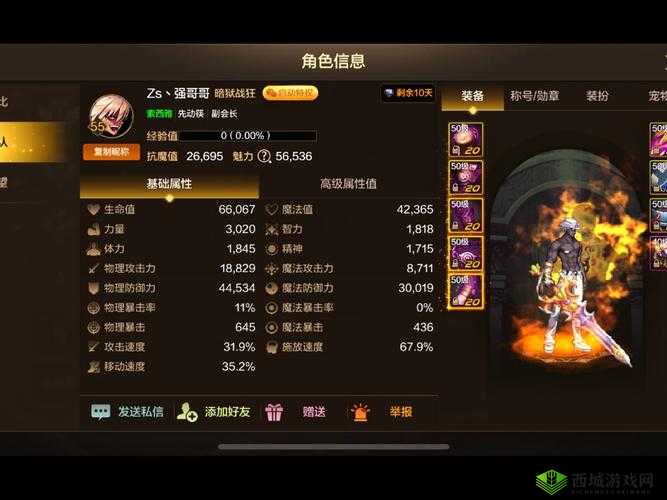 DNF 手游抗魔值大揭秘:提升战力的关键