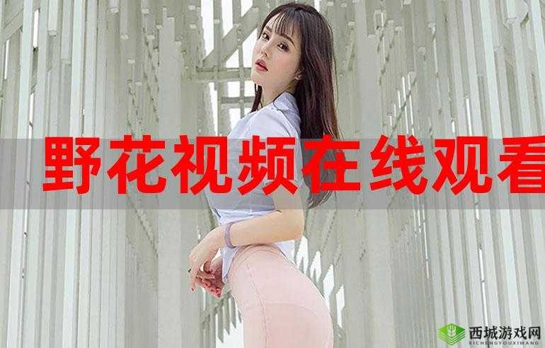 野花日本韩国视频免费高清观看宣布免费:用户至上