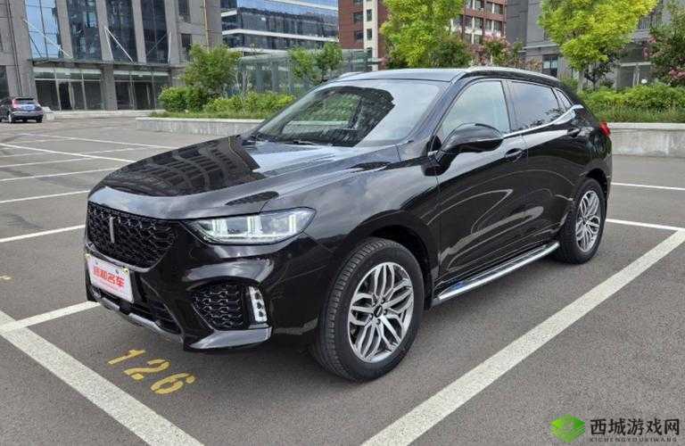 weyvv5 国产的 suv 视频：彰显国产魅力