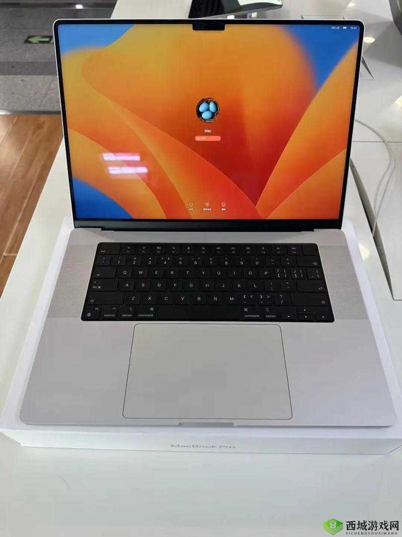 1316 岁 macbookpro 在线：全新体验来袭