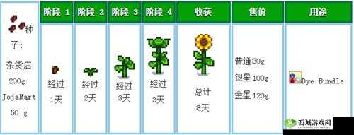 星露谷物语:向日葵的获取秘籍与种植攻略