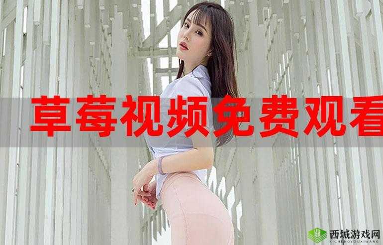 蜜桃视频在线观看：畅享精彩影视的绝佳选择