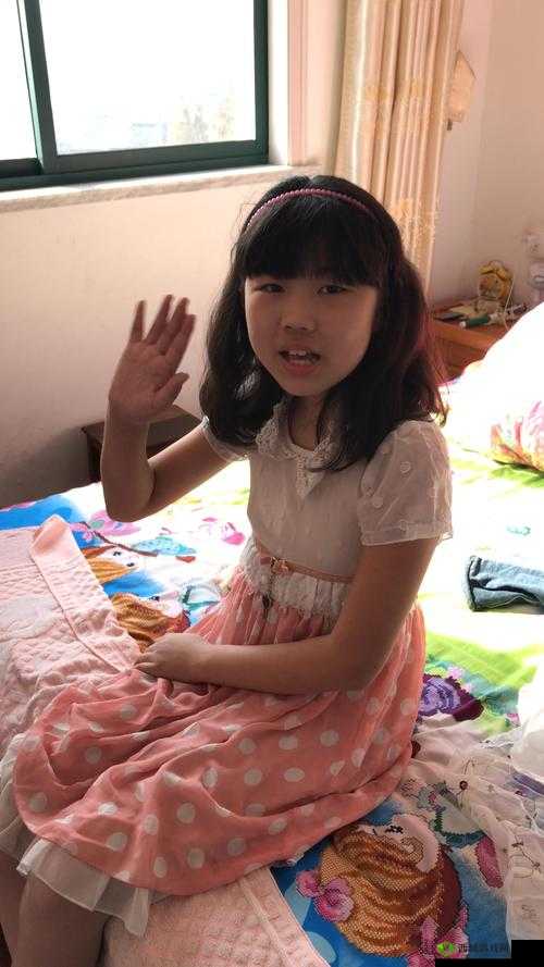 初中生张婉莹铅笔的独特魅力与故事