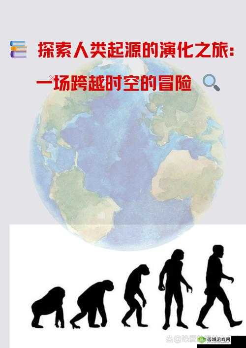 正片 65a33:一部独特的影视作品探索之旅
